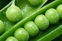 Консервирование зелёного горошка