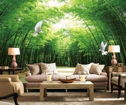 Выбираем фотообои домой: современные материалы и их сравнение