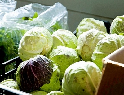 Хранение капусты в зимний период