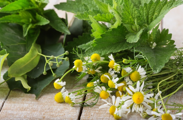 Как нужно заваривать травы для купания ребенка