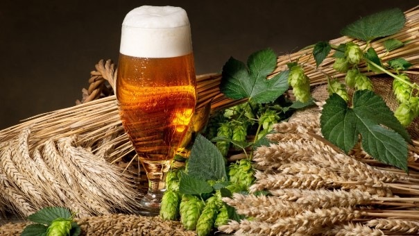 Простой пошаговый рецепт классического пшеничного пива