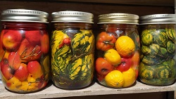 Вкус лета на вашем столе: рецепты из свежего урожая с огорода